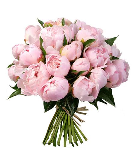Light Pink Peony Bouquet - Fresh Blooms Langley Florist - Surrey Flower  Delivery