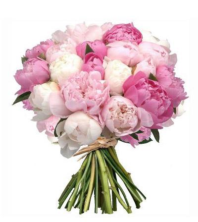 Luxury Peony Bouquet - Fresh Blooms Same Day Peonies Delivery Langley ...